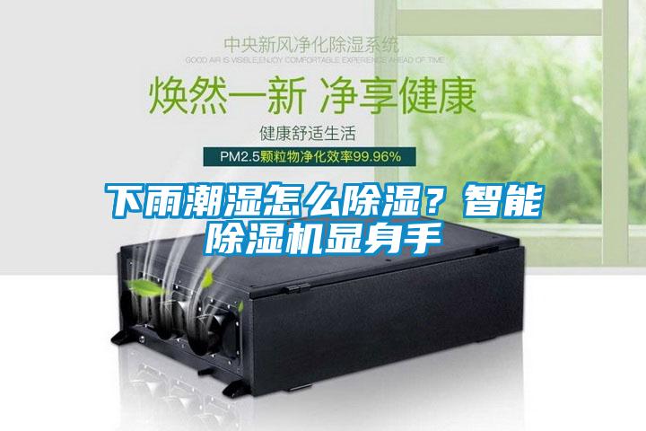 下雨潮濕怎么除濕？智能除濕機顯身手