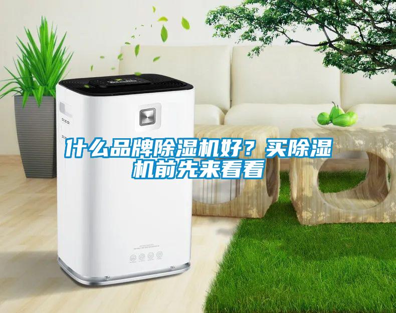 什么品牌除濕機好？買除濕機前先來看看
