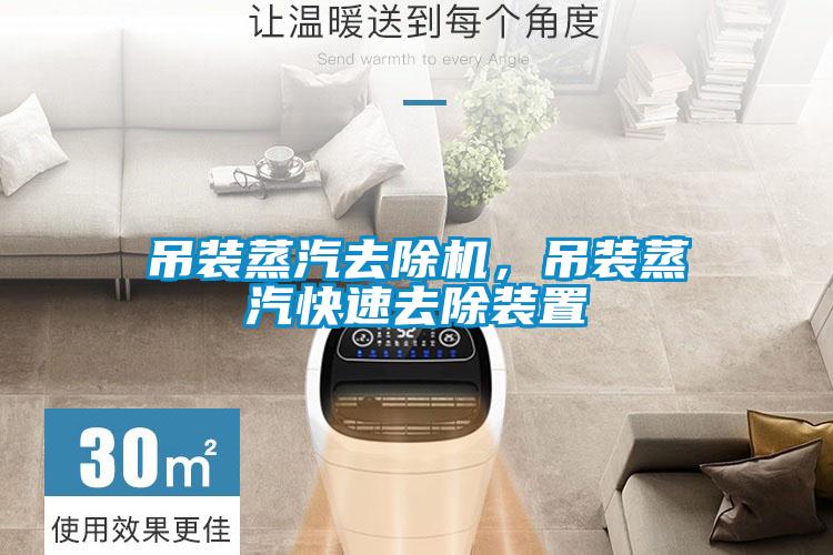 吊裝蒸汽去除機，吊裝蒸汽快速去除裝置
