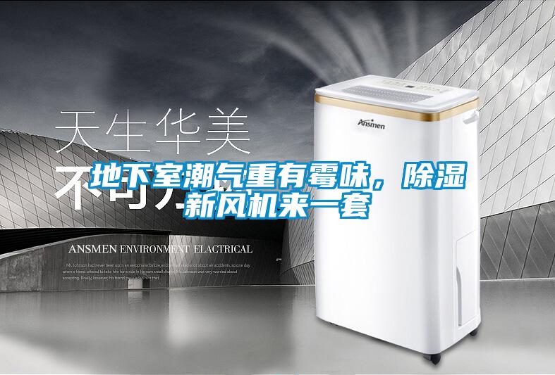 地下室潮氣重有霉味，除濕新風(fēng)機(jī)來(lái)一套