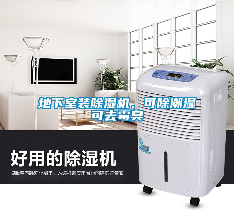 地下室裝除濕機，可除潮濕可去霉臭