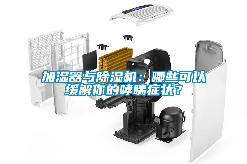 加濕器與除濕機(jī)：哪些可以緩解你的哮喘癥狀？