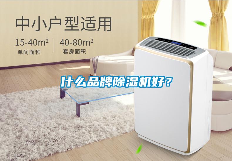 什么品牌除濕機好？
