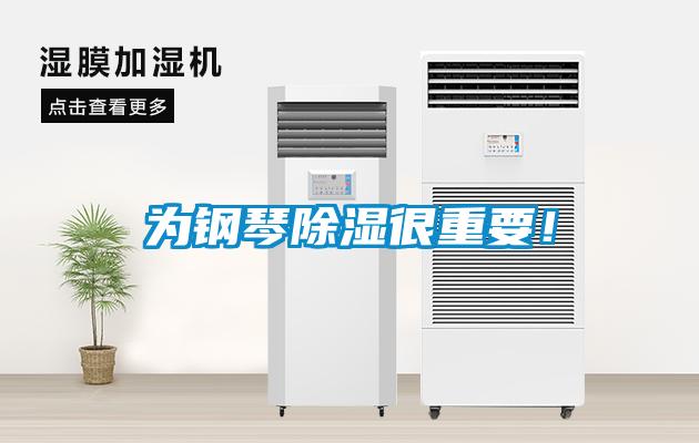為鋼琴除濕很重要！