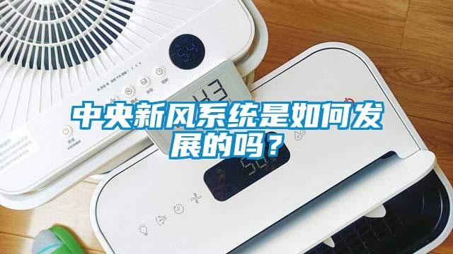 中央新風系統(tǒng)是如何發(fā)展的嗎？