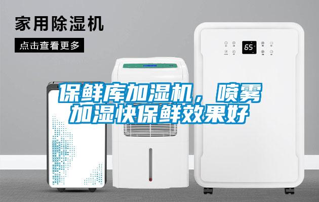 保鮮庫加濕機，噴霧加濕快保鮮效果好