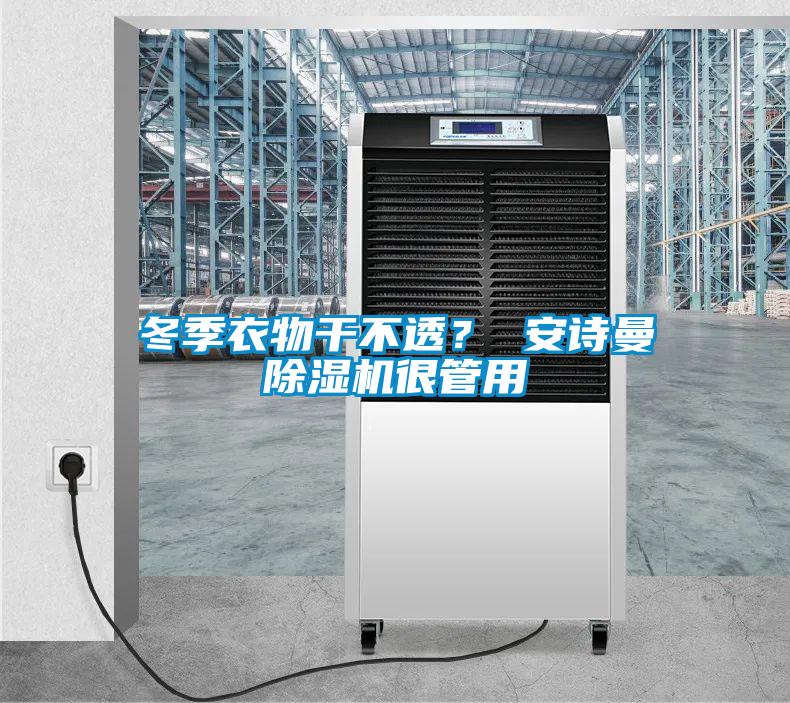 冬季衣物干不透？ 安詩曼除濕機很管用