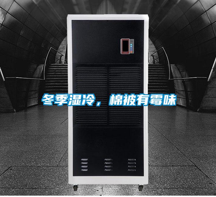 冬季濕冷，棉被有霉味
