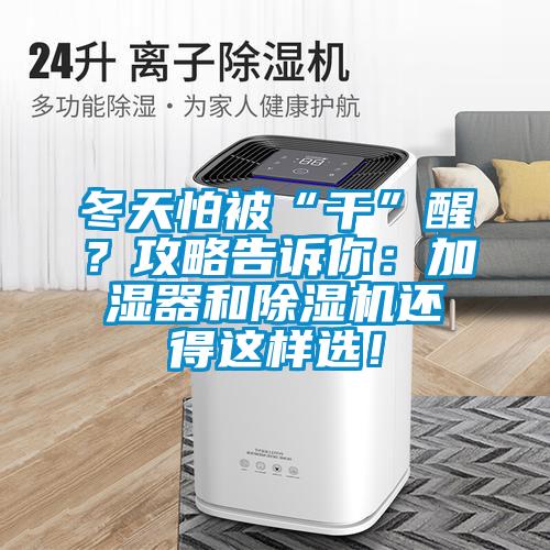 冬天怕被“干”醒？攻略告訴你：加濕器和除濕機(jī)還得這樣選！