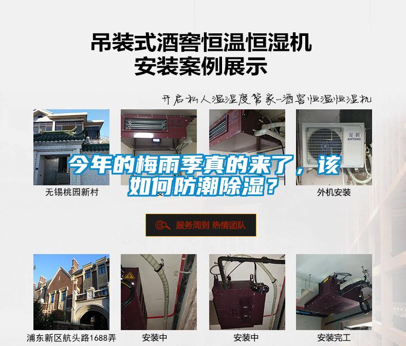 今年的梅雨季真的來了，該如何防潮除濕？