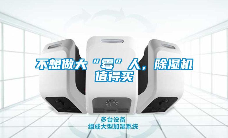 不想做大“霉”人，除濕機(jī)值得買