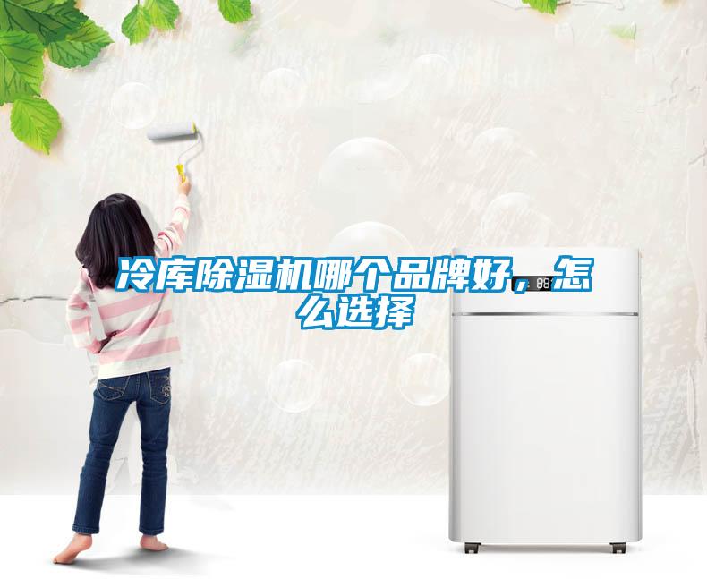冷庫除濕機哪個品牌好，怎么選擇