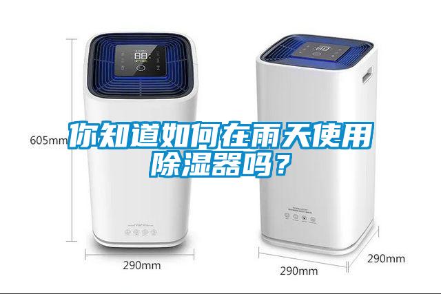 你知道如何在雨天使用除濕器嗎？