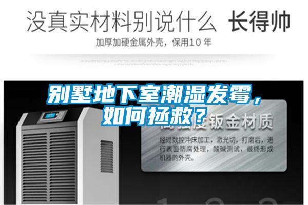 別墅地下室潮濕發(fā)霉，如何拯救？