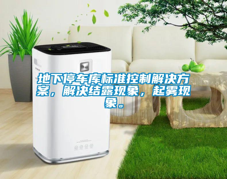地下停車(chē)庫(kù)標(biāo)準(zhǔn)控制解決方案，解決結(jié)露現(xiàn)象，起霧現(xiàn)象。