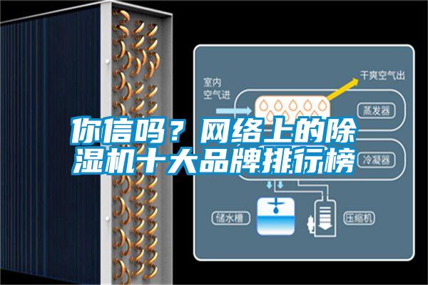 你信嗎？網(wǎng)絡(luò)上的除濕機十大品牌排行榜
