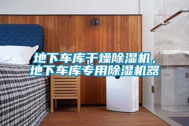 地下車庫干燥除濕機(jī)，地下車庫專用除濕機(jī)器