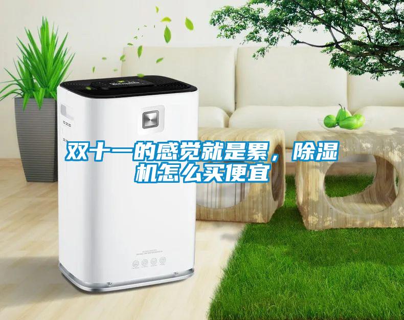 雙十一的感覺就是累，除濕機(jī)怎么買便宜
