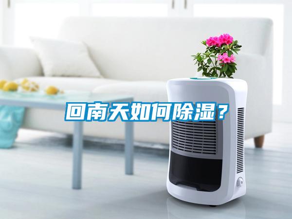 回南天如何除濕？