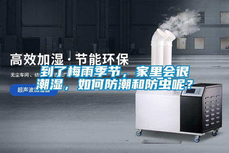 到了梅雨季節(jié)，家里會很潮濕，如何防潮和防蟲呢？