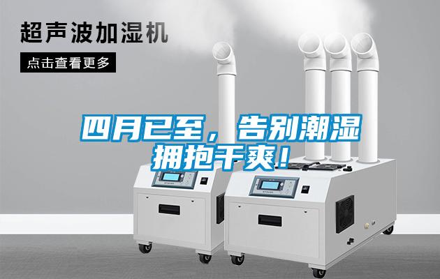 四月已至，告別潮濕擁抱干爽！