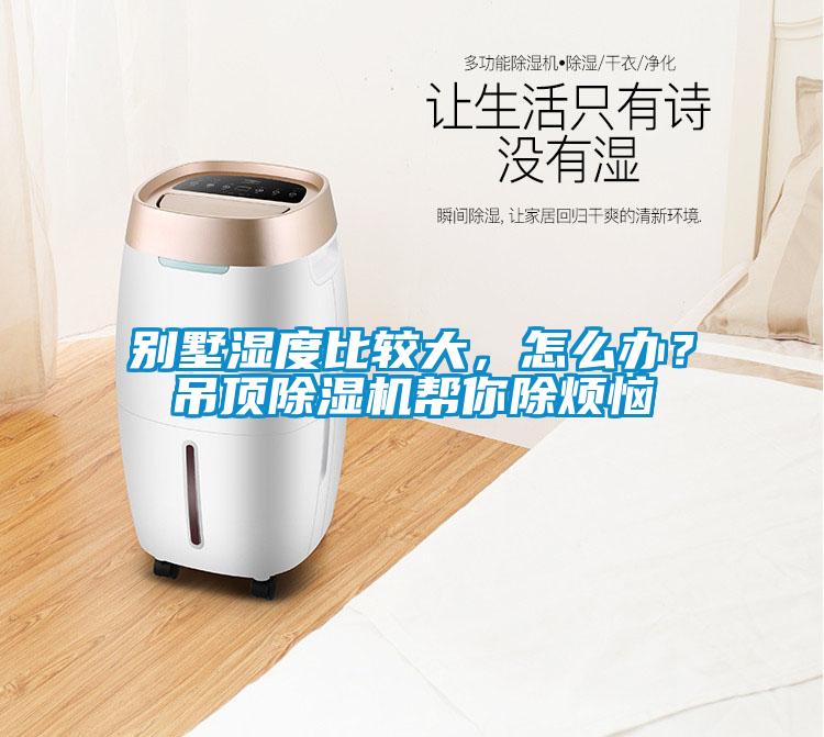 別墅濕度比較大，怎么辦？吊頂除濕機(jī)幫你除煩惱