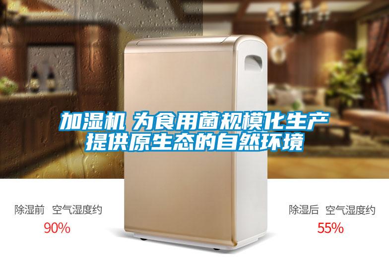 加濕機　為食用菌規(guī)?；a(chǎn)提供原生態(tài)的自然環(huán)境
