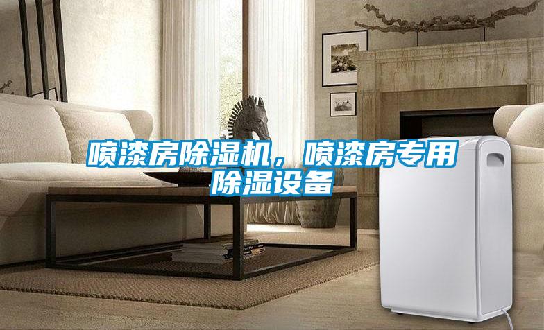 噴漆房除濕機(jī)，噴漆房專用除濕設(shè)備