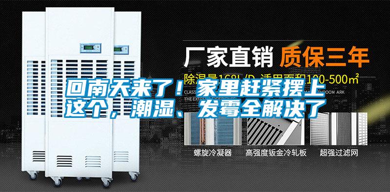 回南天來(lái)了！家里趕緊擺上這個(gè)，潮濕、發(fā)霉全解決了
