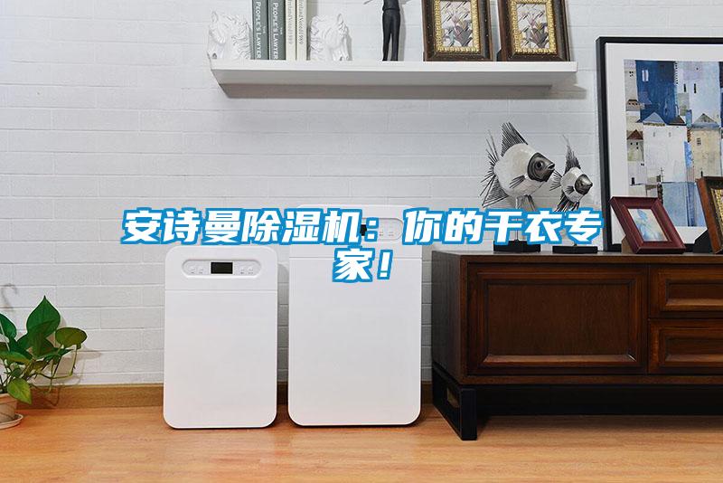 安詩曼除濕機：你的干衣專家！
