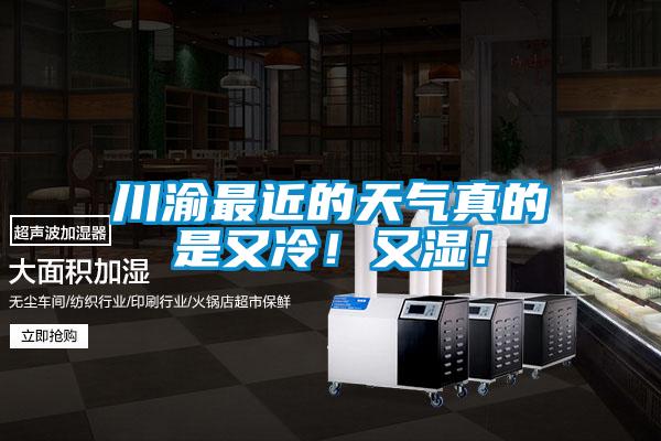 川渝最近的天氣真的是又冷！又濕！
