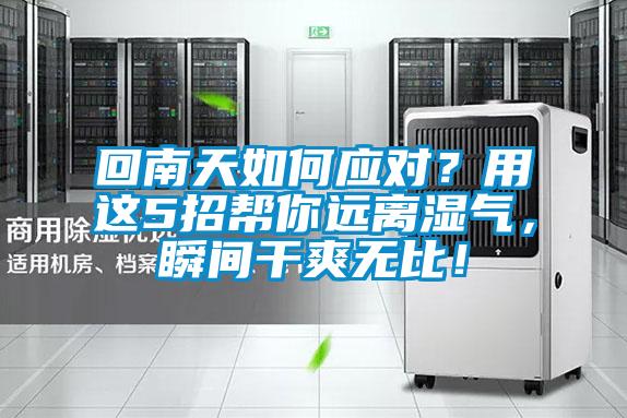 回南天如何應(yīng)對？用這5招幫你遠(yuǎn)離濕氣，瞬間干爽無比！