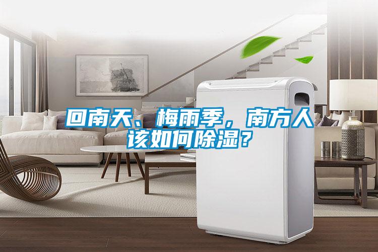 回南天、梅雨季，南方人該如何除濕？