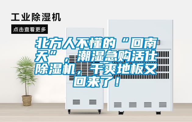 北方人不懂的“回南天”，潮濕急購活仕除濕機(jī)，干爽地板又回來了！