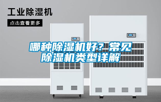 哪種除濕機好？常見除濕機類型詳解