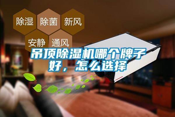 吊頂除濕機哪個牌子好，怎么選擇
