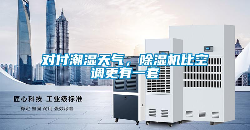 對(duì)付潮濕天氣，除濕機(jī)比空調(diào)更有一套