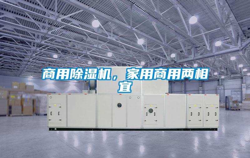 商用除濕機，家用商用兩相宜