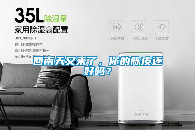 回南天又來(lái)了，你的陳皮還好嗎？