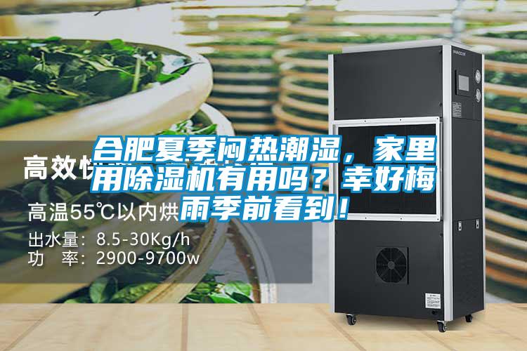 合肥夏季悶熱潮濕，家里用除濕機(jī)有用嗎？幸好梅雨季前看到！