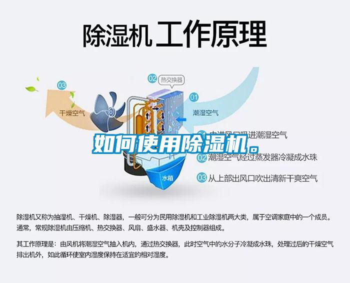 如何使用除濕機。