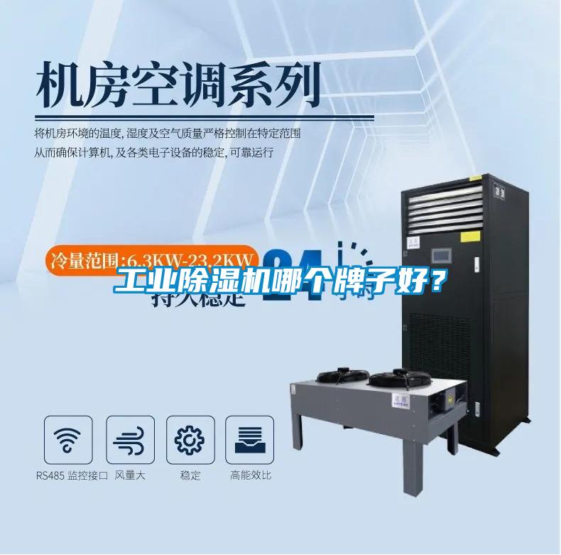 工業(yè)除濕機哪個牌子好？