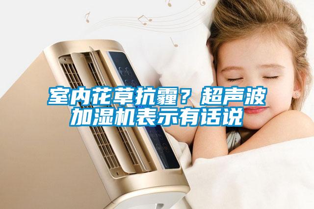 室內(nèi)花草抗霾？超聲波加濕機(jī)表示有話說(shuō)