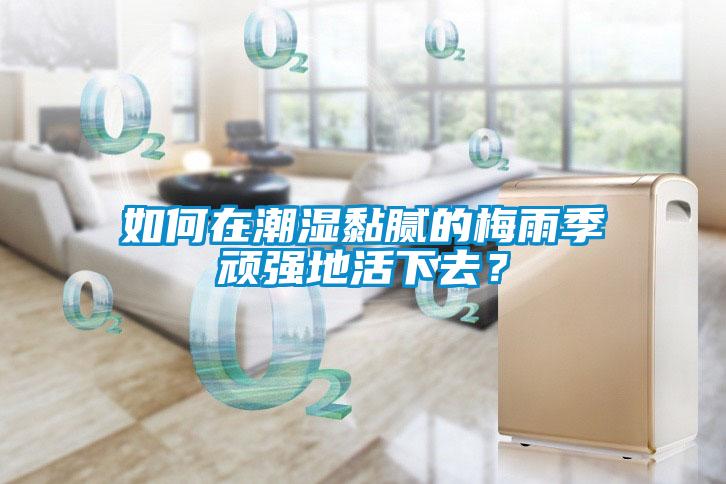 如何在潮濕黏膩的梅雨季頑強地活下去？