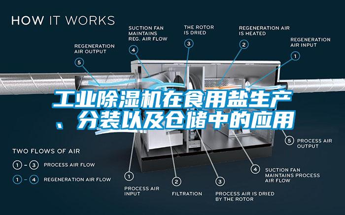 工業(yè)除濕機(jī)在食用鹽生產(chǎn)、分裝以及倉儲(chǔ)中的應(yīng)用