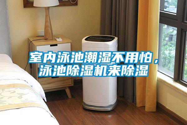 室內(nèi)泳池潮濕不用怕，泳池除濕機來除濕