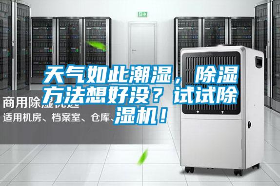 天氣如此潮濕，除濕方法想好沒？試試除濕機！