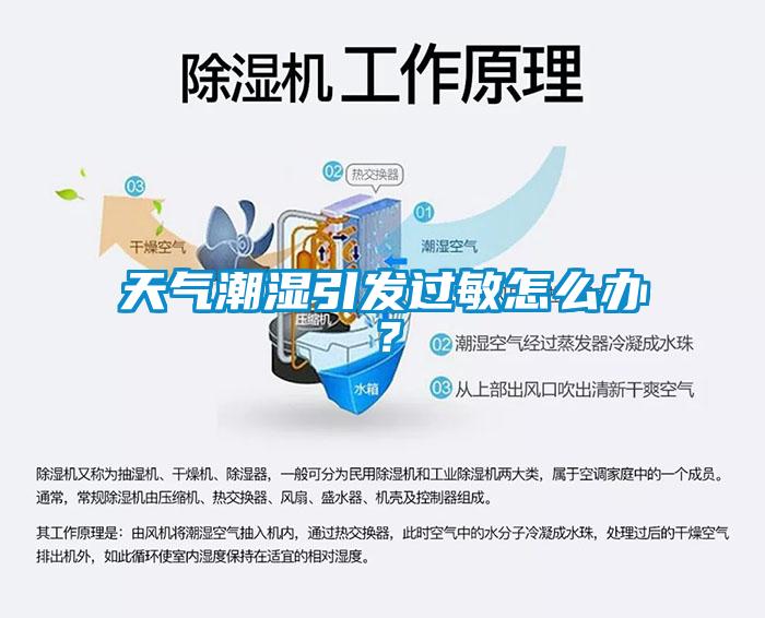天氣潮濕引發(fā)過(guò)敏怎么辦？
