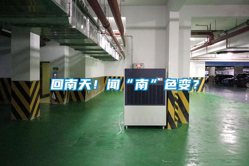 回南天！聞“南”色變？