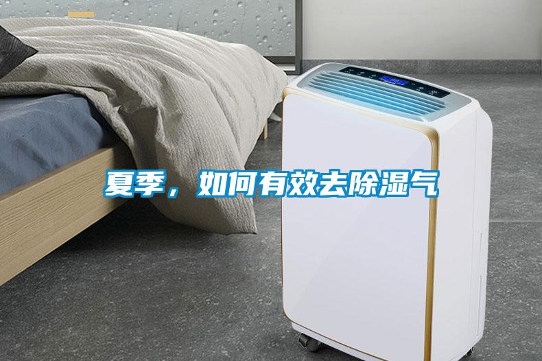 夏季，如何有效去除濕氣